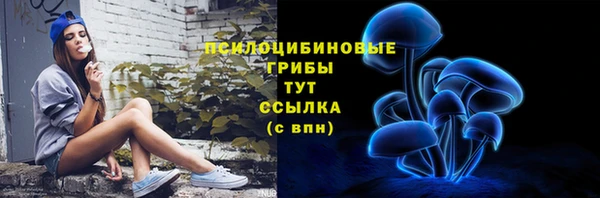 мескалин Богородицк