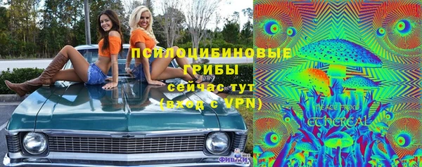 не бодяженный Богданович