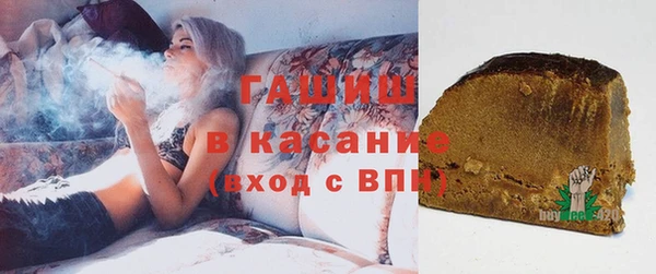 амф Снежногорск