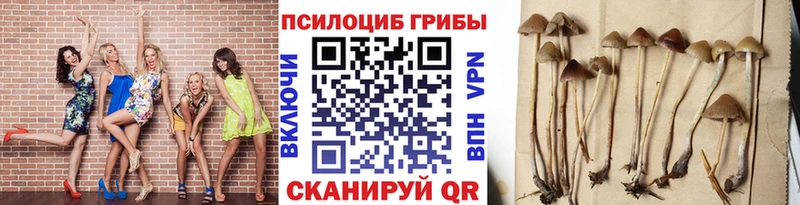 Галлюциногенные грибы ЛСД  Вилючинск 